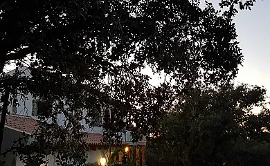 casa 1