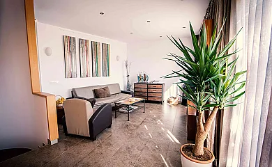 casa 7