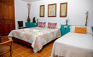 casa 11