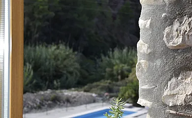 casa 7