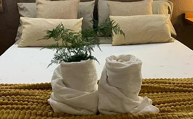 casa 8