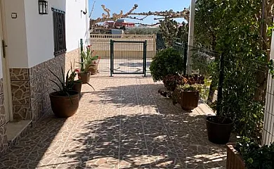 casa 36