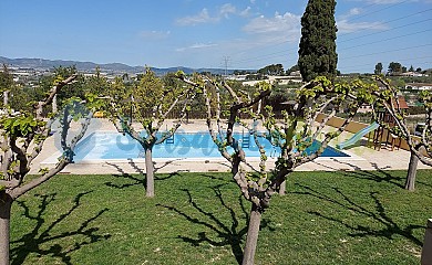 El Pansat en Albaida - Foto 1, Valencia