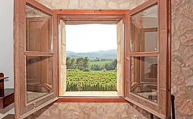 casa 11