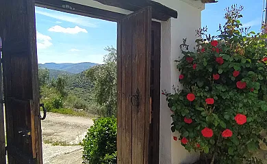 casa 10