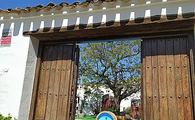 casa 19