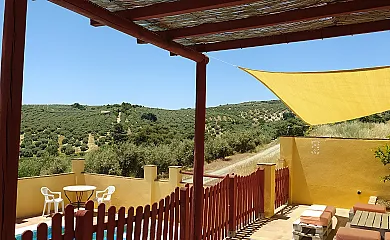casa 21