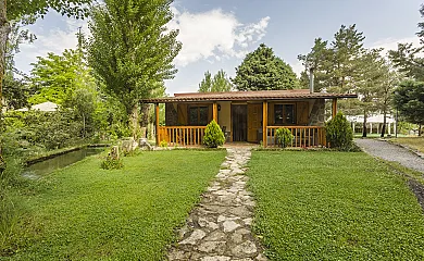 casa 7