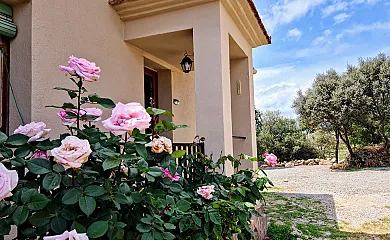 casa 5