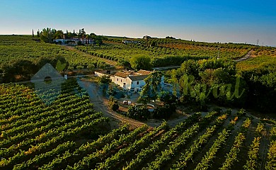 Finca Buytron en Montilla - Foto 1, Córdoba