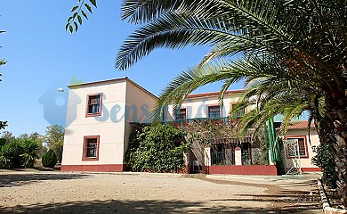 La Hoya en Azuaga - Foto 1, Badajoz