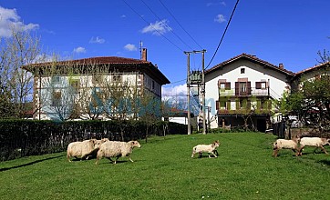 Zapatilenea en Irurita, Navarra