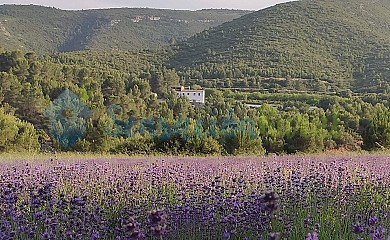 Eco Maset en Aielo de Malferit - Foto 1, Valencia