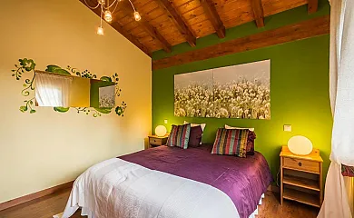 casa 15