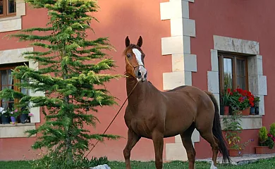 casa 7