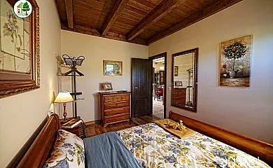 casa 10