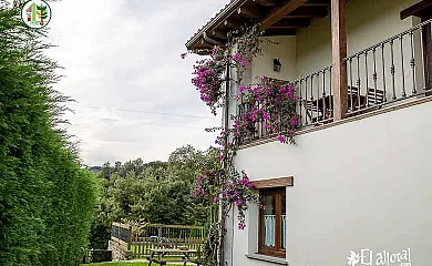 casa 13