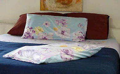 casa 1