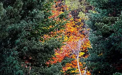 casa 4