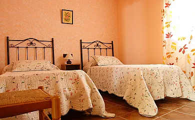 casa 7