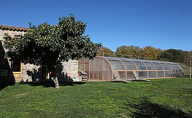 casa 11