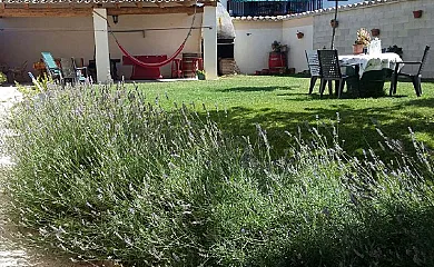 casa 10