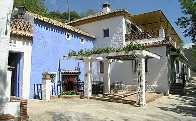 casa 5