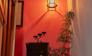 casa 41