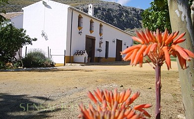 Cortijo El Puntal de Teba - Foto 1