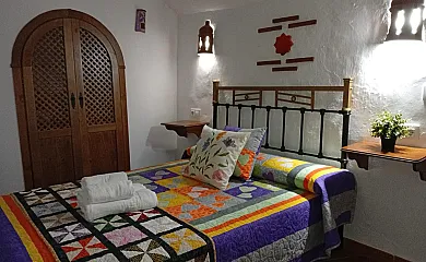 casa 15