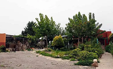 casa 19