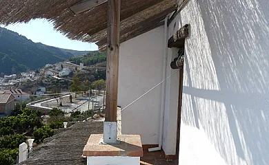 casa 8