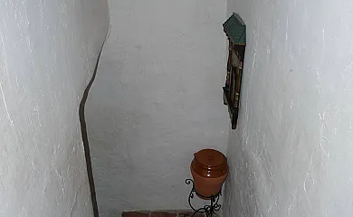 casa 11