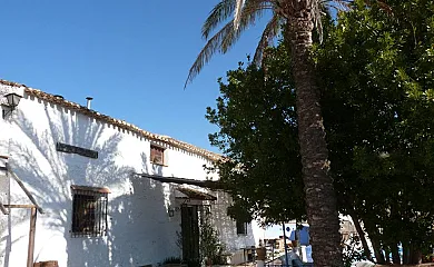 casa 12