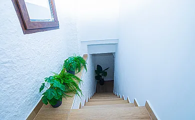 casa 6