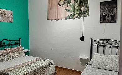 casa 7