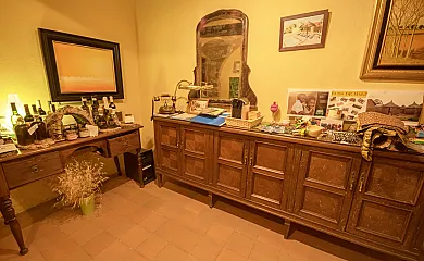 casa 11