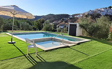casa 7
