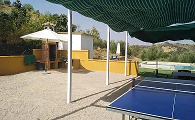 casa 8
