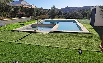 casa 15
