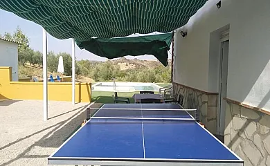 casa 26