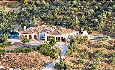 casa 31