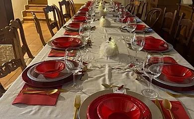 casa 11