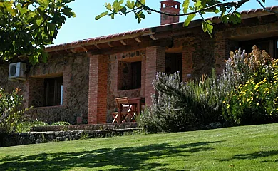 casa 6