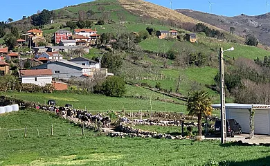 casa 18