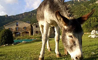Casa Gran de Puigventós