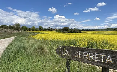 casa 5