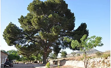 casa 10