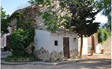 casa 15
