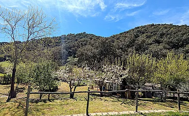 casa 7
